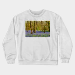 Bluebell Woods Greys Court Oxfordshire UK Crewneck Sweatshirt